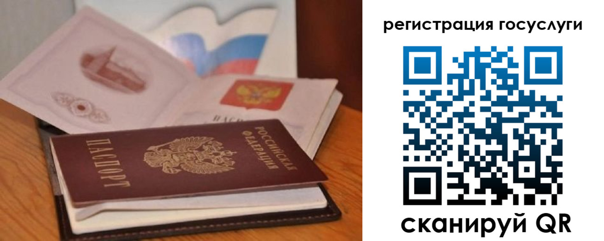 прописка законно в Завитинске